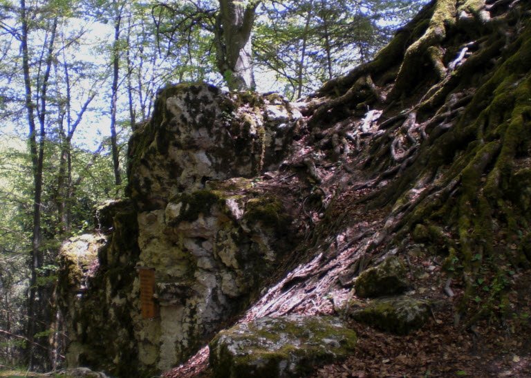 Ruine Wallenburg, Germany
